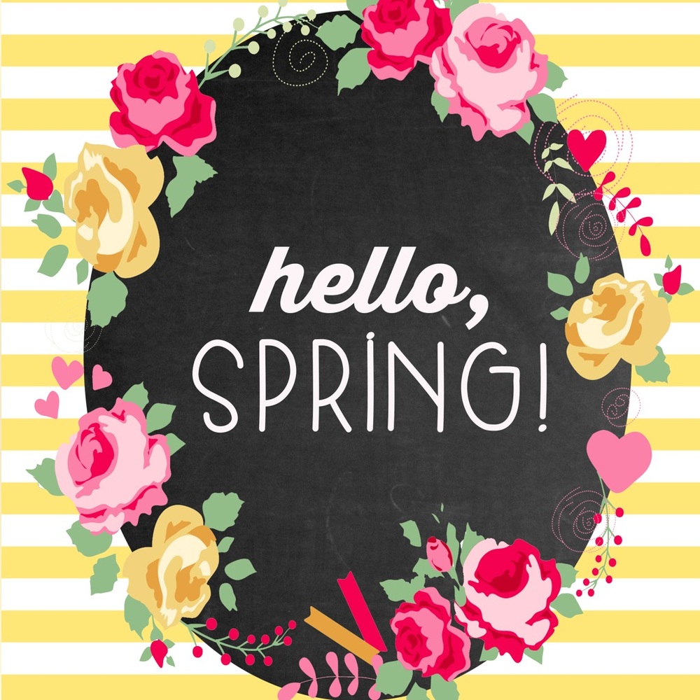 Spring Cleaning! Send me offers! Discount Bundles!